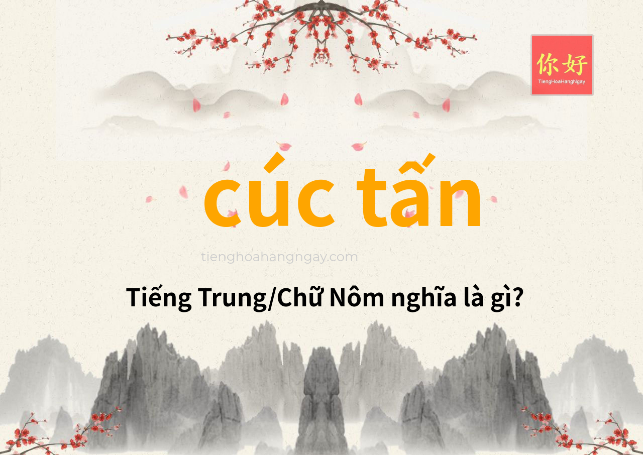 cúc tấn tiếng Trung là gì?